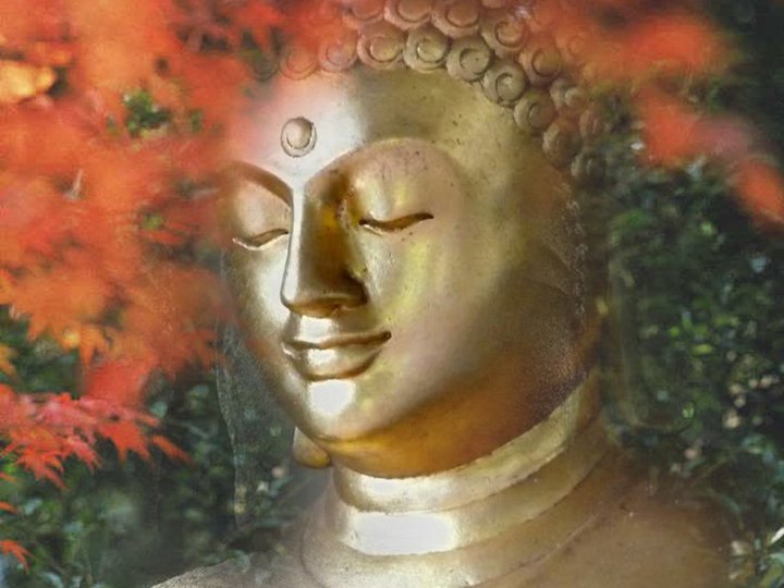 Nhạc Phật giáo Karaoke 103 – Ca ngợi đấng Thế Tôn – Uy Thi Ca